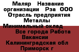 Маляр › Название организации ­ Рза, ООО › Отрасль предприятия ­ Металлы › Минимальный оклад ­ 40 000 - Все города Работа » Вакансии   . Калининградская обл.,Приморск г.